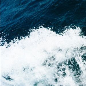 Meet your Posher, Leila